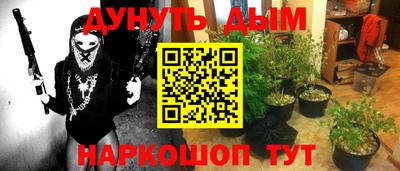 сатива Волгодонск