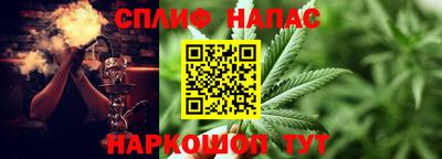сатива Волгодонск