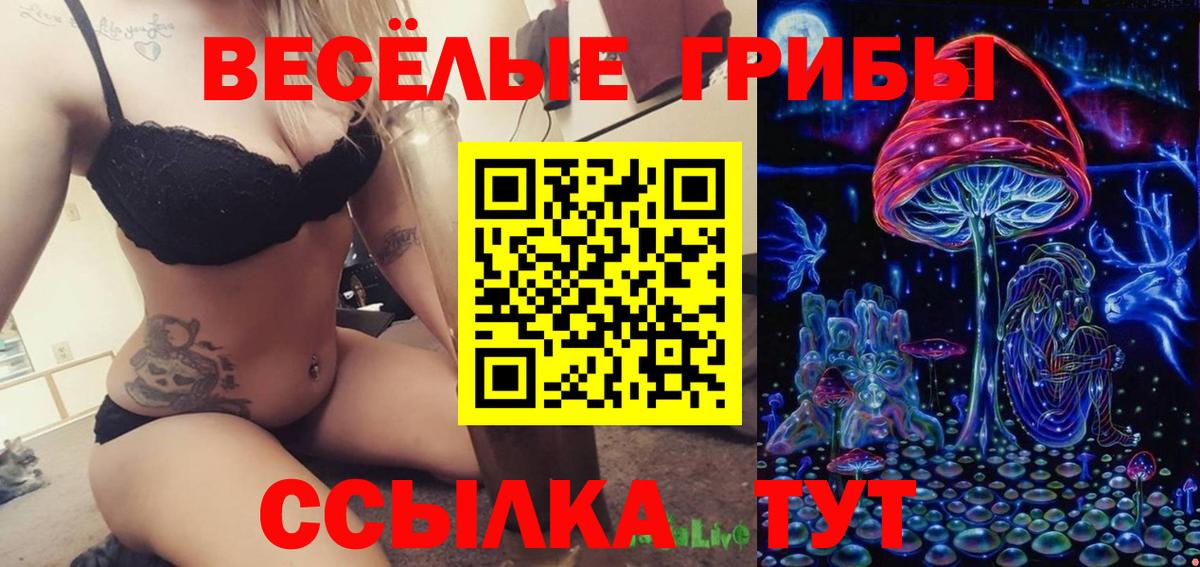 Белово  Галлюциногенные грибы MAGIC MUSHROOMS  Вход с VPN 